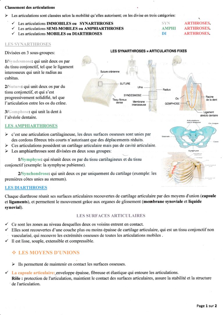 Classement des articulatio_page-0001