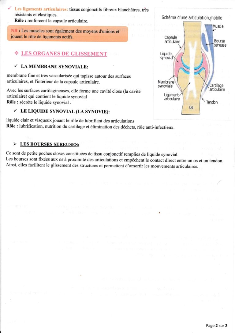 Classement des articulatio_page-0002